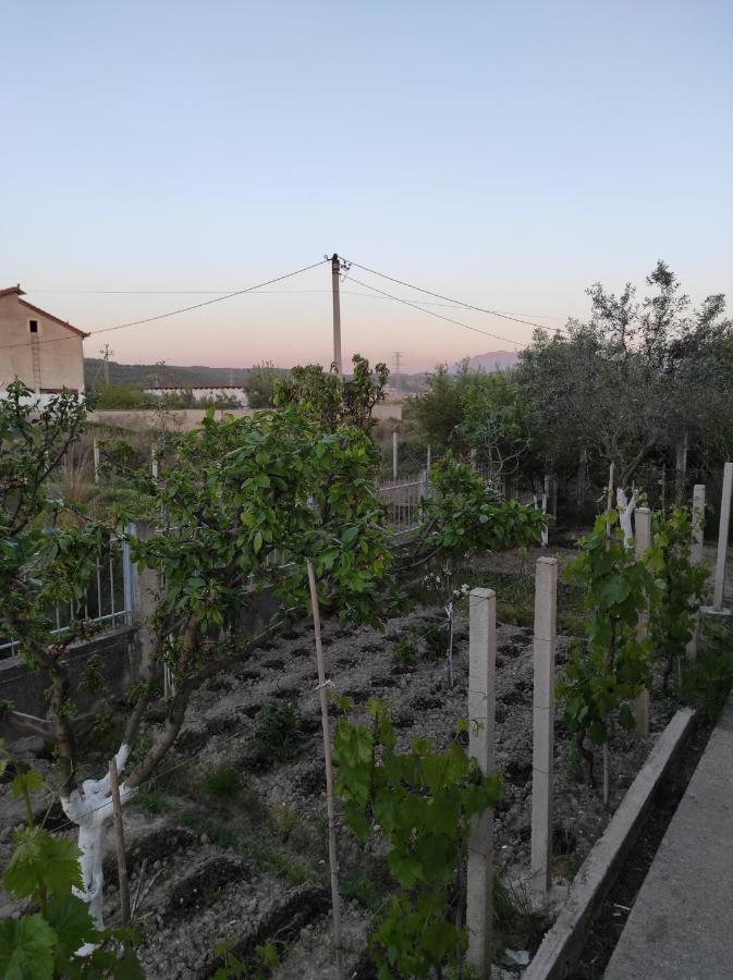 Alanthia Vlorë Exterior foto